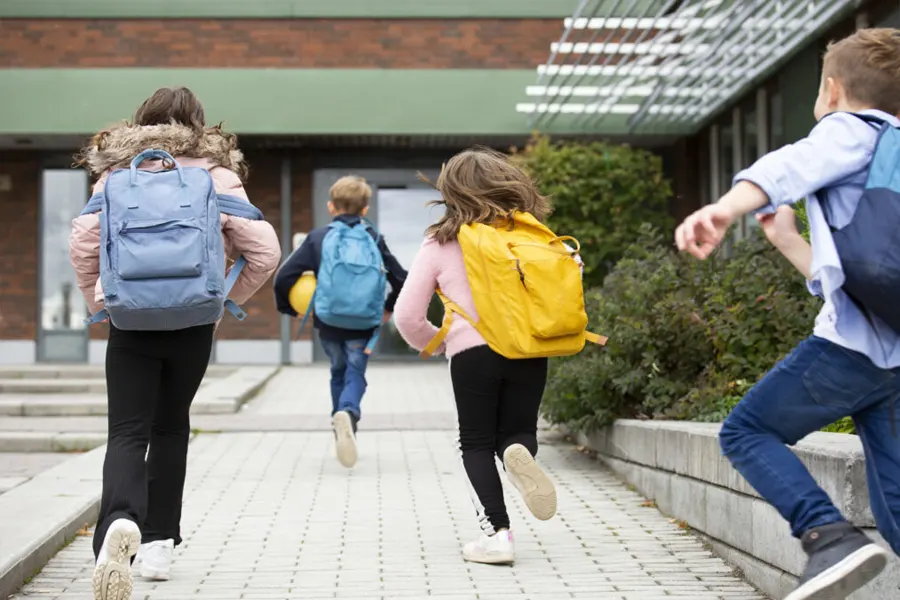 Wie man die Tasche auswählt, ist nicht schwer